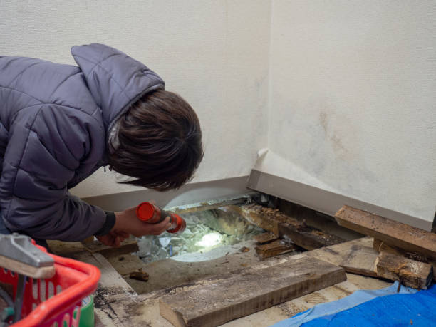 Best Environmental Consulting for Mold Prevention  in Tipp City, OH
