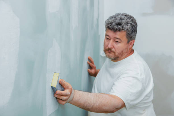Best Mold Damage Restoration  in Tipp City, OH