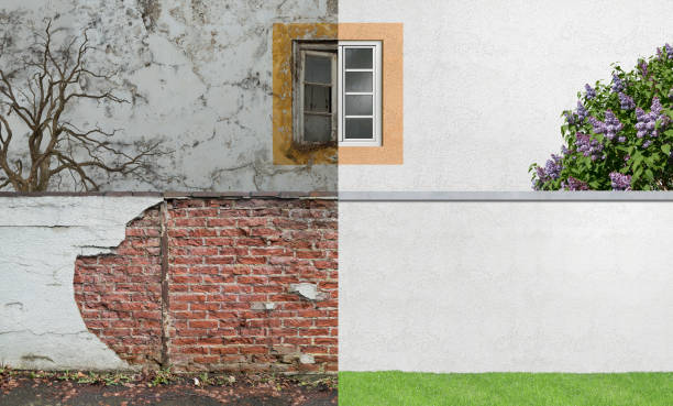 Best Mold Remediation for Healthcare Facilities  in Tipp City, OH