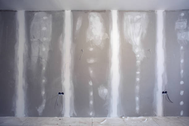Best Forensic Mold Investigation  in Tipp City, OH